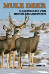Mule Deer