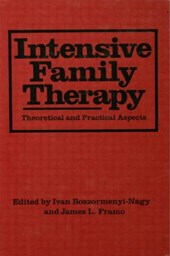 Intensive Family Therapy