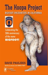 The Hoopa Project