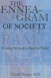 The Enneagram of Society