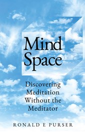 Mind Space: Discovering Meditation Without the Meditator