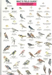 Mac's Field Guides: Northwest Park & Backyard Birds