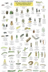 Mac's Field Guides: Southeast Garden Bugs