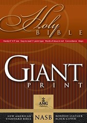 Giant Print Bible-NASB-Handy-Size