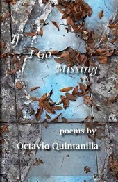 If I Go Missing