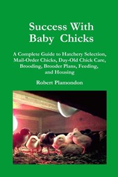 Success with Baby Chicks
