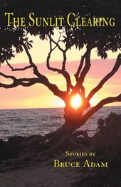 The Sunlit Clearing