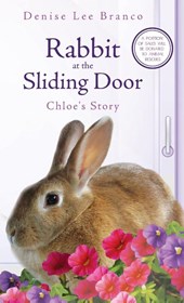 Rabbit at the Sliding Door