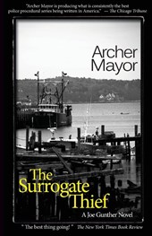 The Surrogate Thief