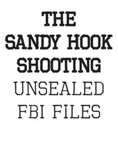 The Sandy Hook Shooting