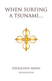 When Surfing a Tsunami . . .