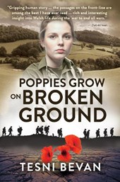 Poppies Grow on Broken Ground