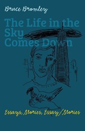 The Life in the Sky Comes Down