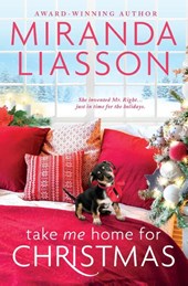 Take Me Home for Christmas