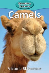 Camels