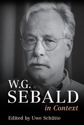 W. G. Sebald in Context