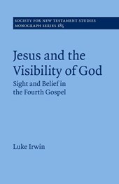 Jesus and the Visibility of God