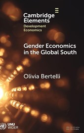 Gender Economics in the Global South