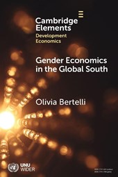 Gender Economics in the Global South