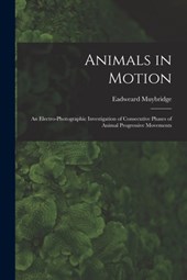 Animals in Motion