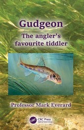 Gudgeon