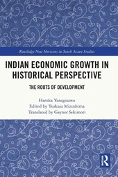 Indian Economic Growth in Historical Perspective