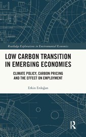 Low Carbon Transition in Emerging Economies