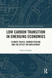 Low Carbon Transition in Emerging Economies