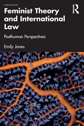 Feminist Theory and International Law