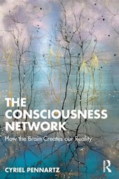 The Consciousness Network