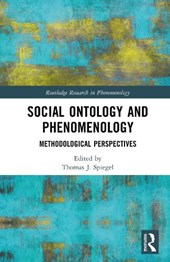 Social Ontology and Phenomenology