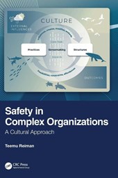 Safety in Complex Organizations