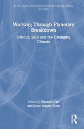 Working Through Planetary Breakdown
