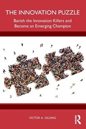 The Innovation Puzzle