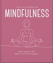 The Little Book of Mindfulness