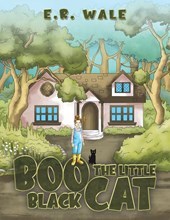 Boo The Little Black Cat