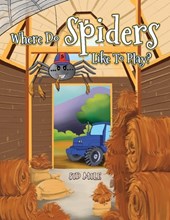 Where Do Spiders Like To Play?