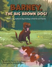 Barney, The Big Brown Dog!
