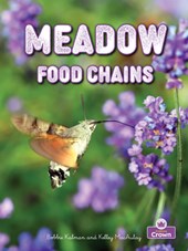 Meadow Food Chains