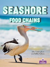 Seashore Food Chains
