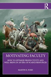 Motivating Faculty