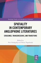 Spatiality in Contemporary Anglophone Literatures