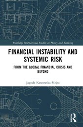 Financial Instability and Systemic Risk