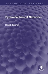 Pyramidal Neural Networks