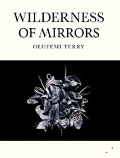 Wilderness of Mirrors