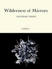 Wilderness of Mirrors