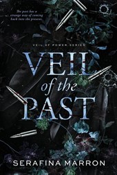 Veil of the Past