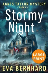 Stormy Night - Large Print Edition