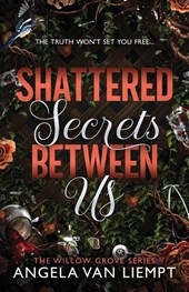 Shattered Secrets Between Us