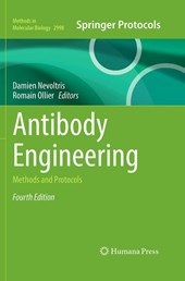 Antibody Engineering